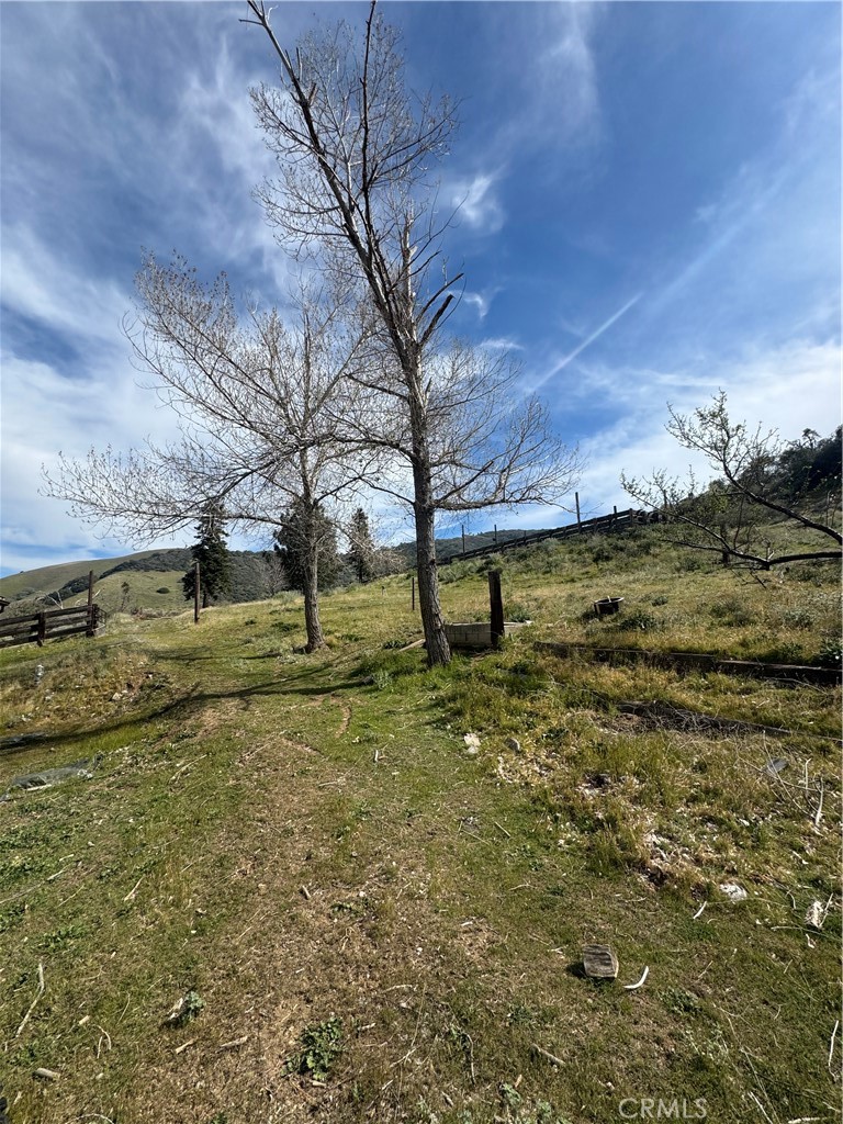 7700 Digier Road Lebec, CA 93243 - Photo 22 of 30 a backyard of a house with lots of green space