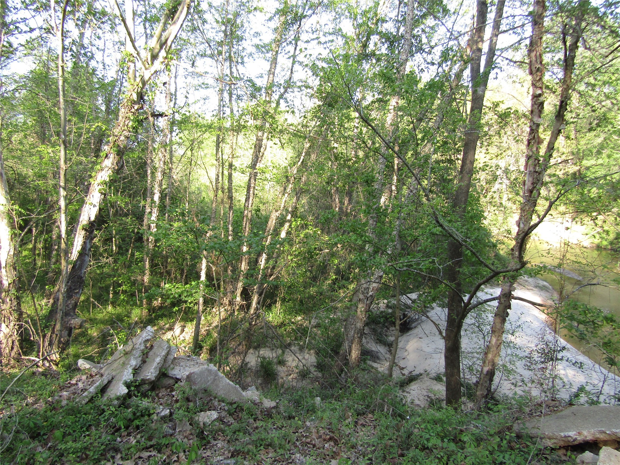 Tbd Magnolia Lane New Caney, TX 77357 - Photo 2 of 5