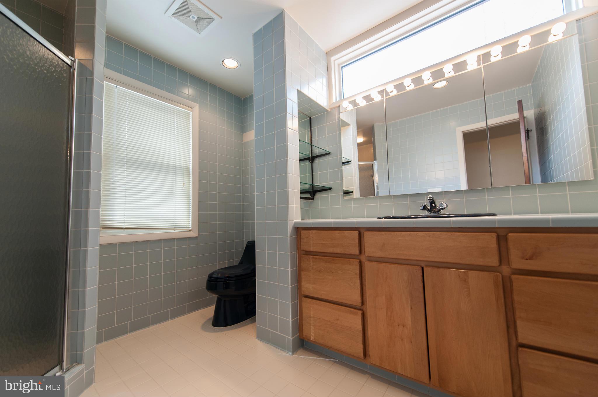 15816 Laughlin Lane Silver Spring, MD 20906 - Photo 30 of 30 One of Two Master Baths on the Main Level
