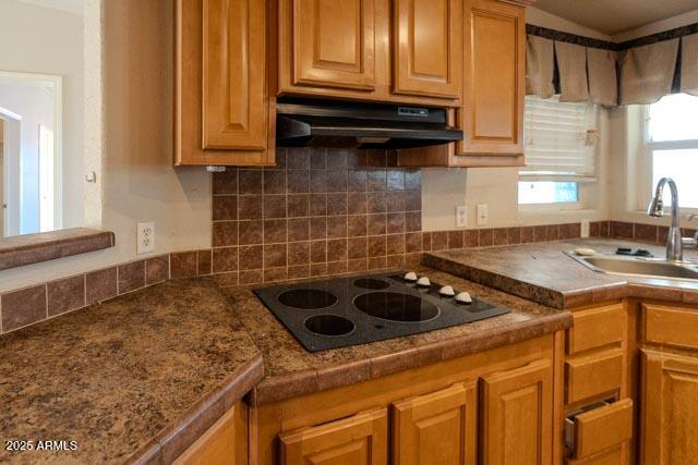 13401 East Walts Way Vail, AZ 85641 - Photo 14 of 41 DSC04574