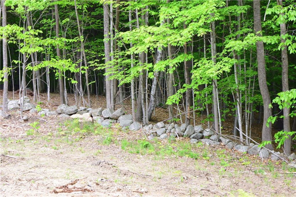 Lot 0 West Gray Road Gray, ME 04039 - Photo 11 of 13 Photo