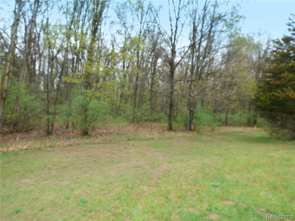 0 Rosehill Pinckney, MI 48169 - Photo 6 of 8