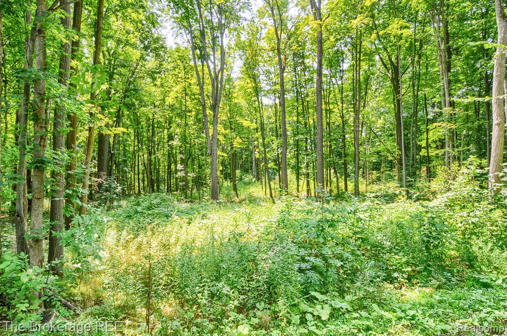 Vl Stump Road Lapeer, MI 48446 - Photo 2 of 12 Gallery Image 2