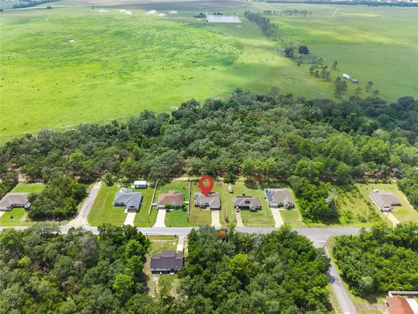an aerial view of residential houses with outdoor space and trees
