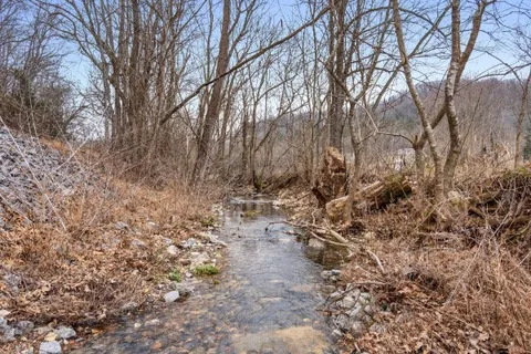 a view of a yard with green space and fog