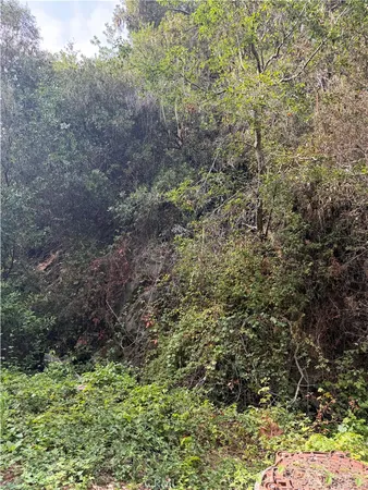 $12,000 | 0 Sheffield Street, Cambria, CA 93428
