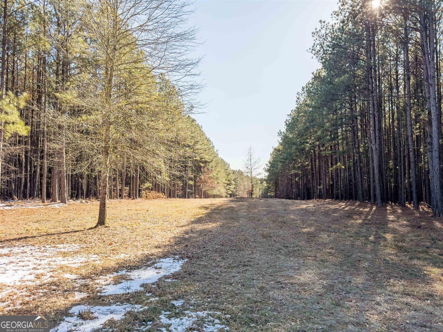 1249 Rogers Road Tignall, GA 30668 - Photo 6 of 9 Gallery Image 6