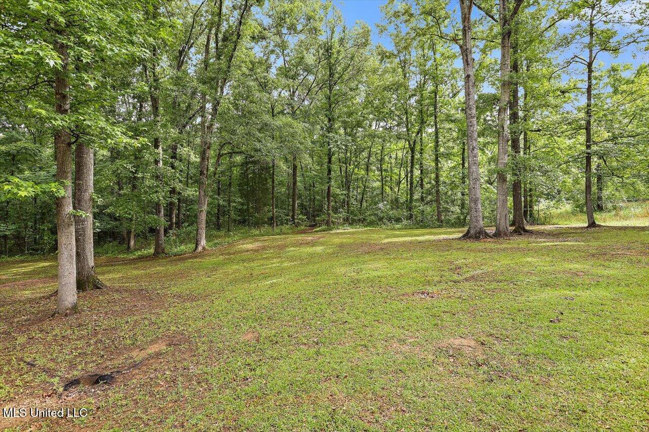 1554 Orchard Wood Road Terry, MS 39170 - Photo 41 of 42 31-1554 Orchard Wood Rd