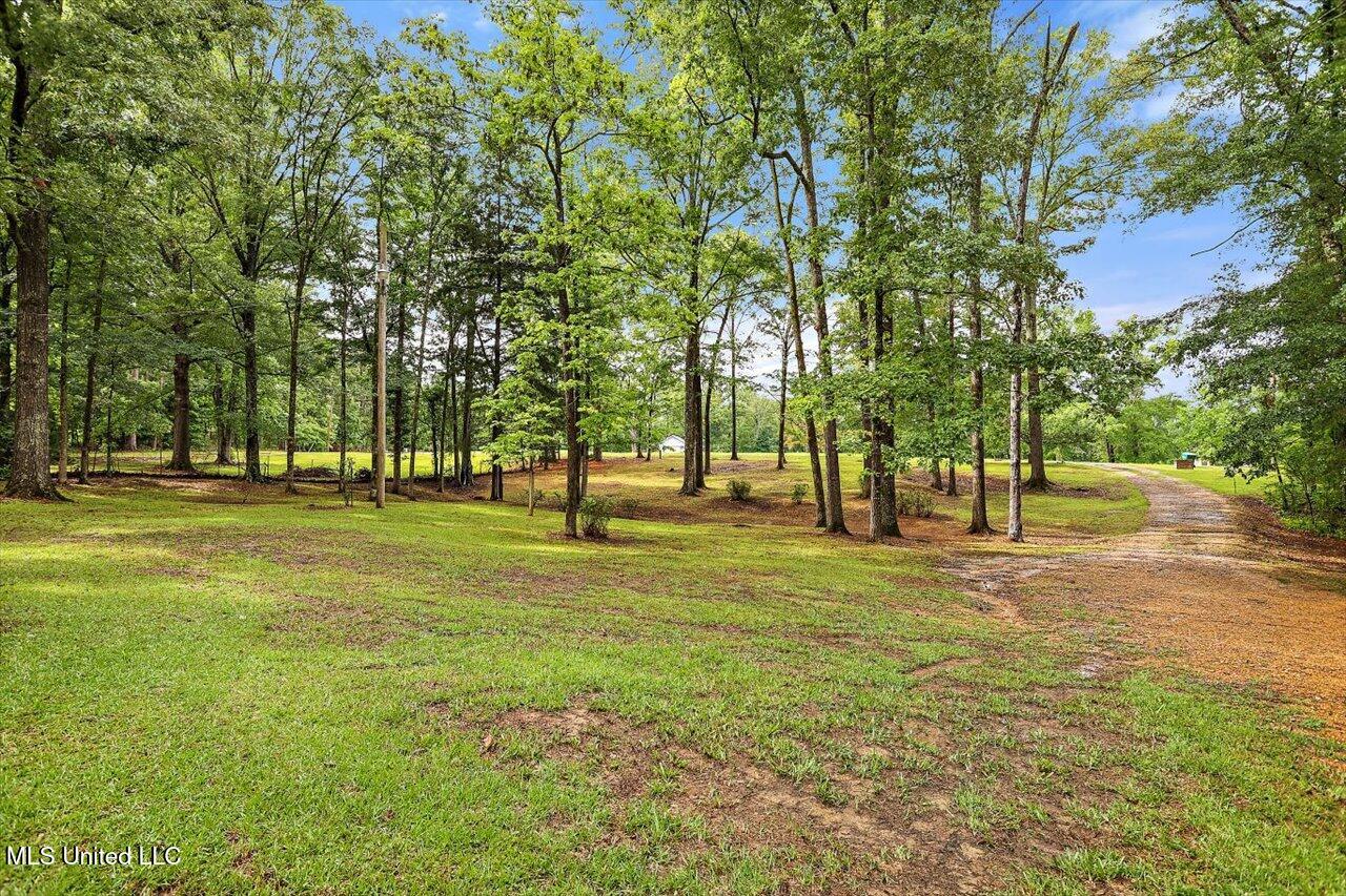 1554 Orchard Wood Road Terry, MS 39170 - Photo 42 of 42 32-1554 Orchard Wood Rd