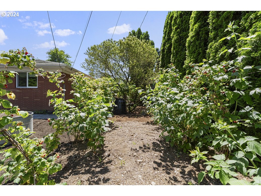6020 Northeast Milton Street Portland, OR 97213 - Photo 12 of 16 Garden