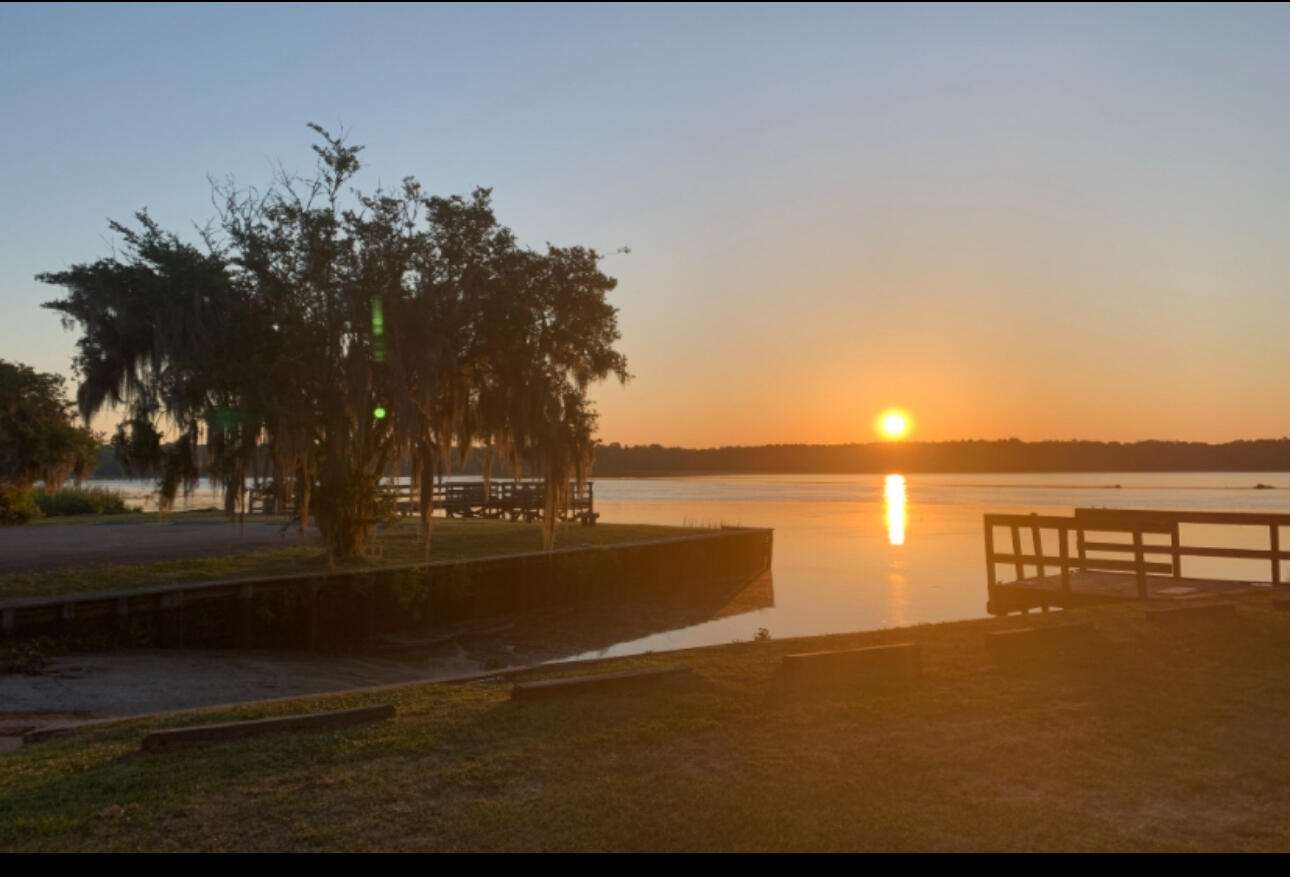 1811 State Rd S-8-560 Moncks Corner, SC 29461 - Photo 63 of 66 IMG_7441