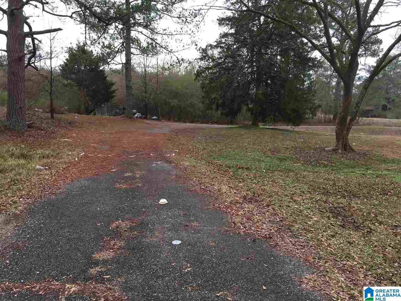 100 Shack Avenue Montevallo, AL 35115 - Photo 4 of 4
