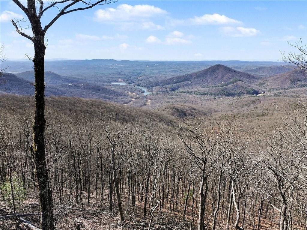 4748 Monument Road Jasper, GA 30143 - Photo 31 of 31