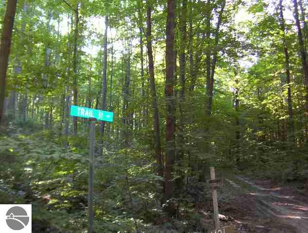 On Swamp Road Alden, MI 49612 - Photo 3 of 6 1695502-2.JPG