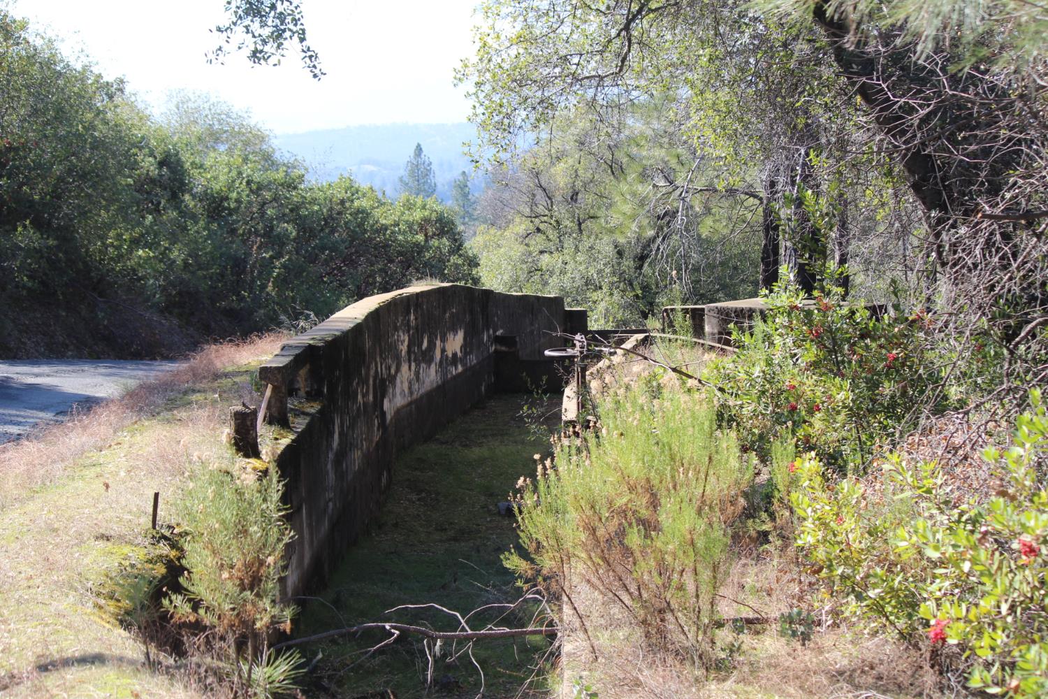 0 Fricot City Road Mountain Ranch, CA 95249 - Photo 8 of 9