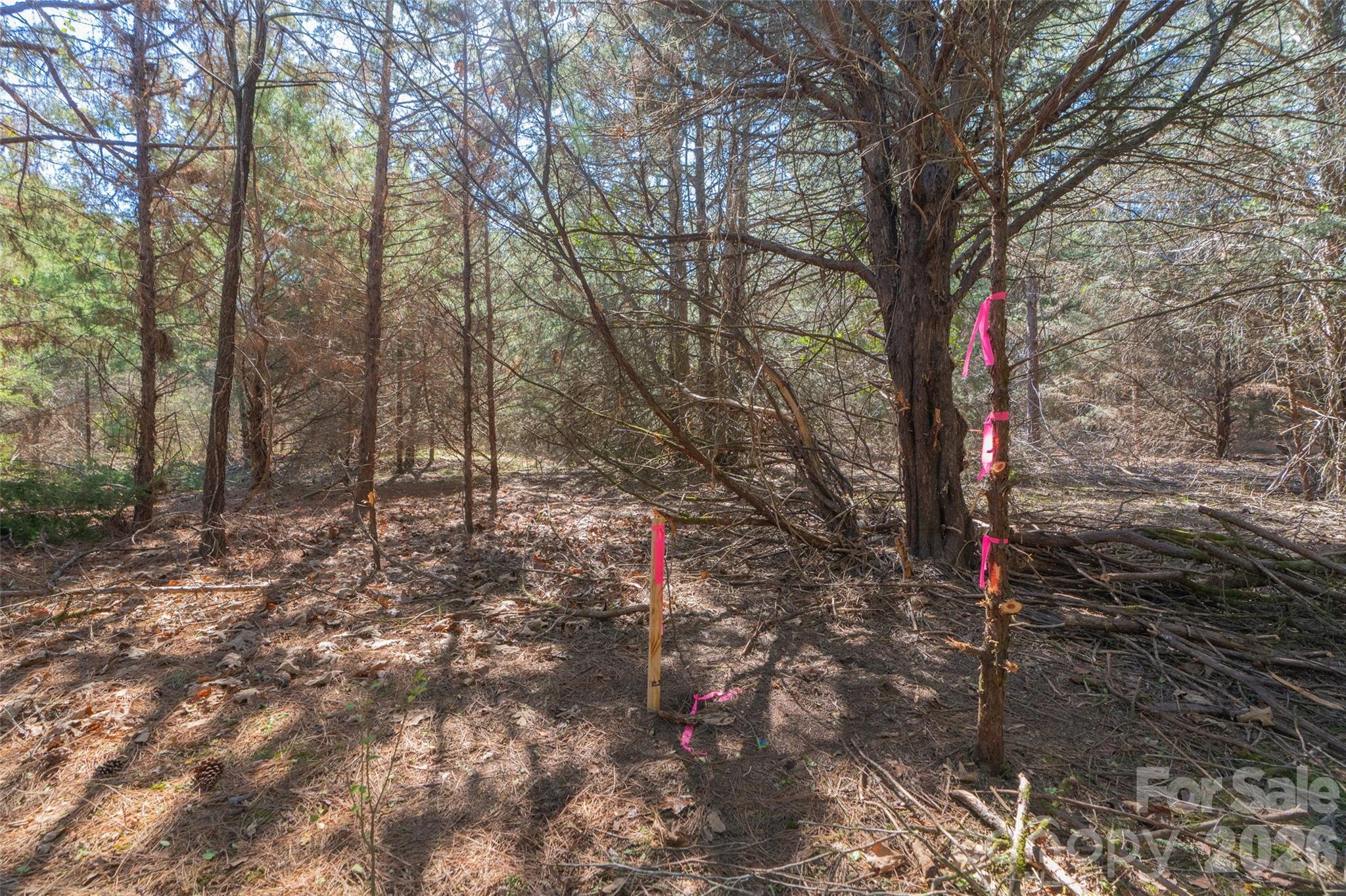 0 Cemetery Road, Unit 4 Fort Lawn, SC 29714 - Photo 13 of 23 a view of outdoor space and tree