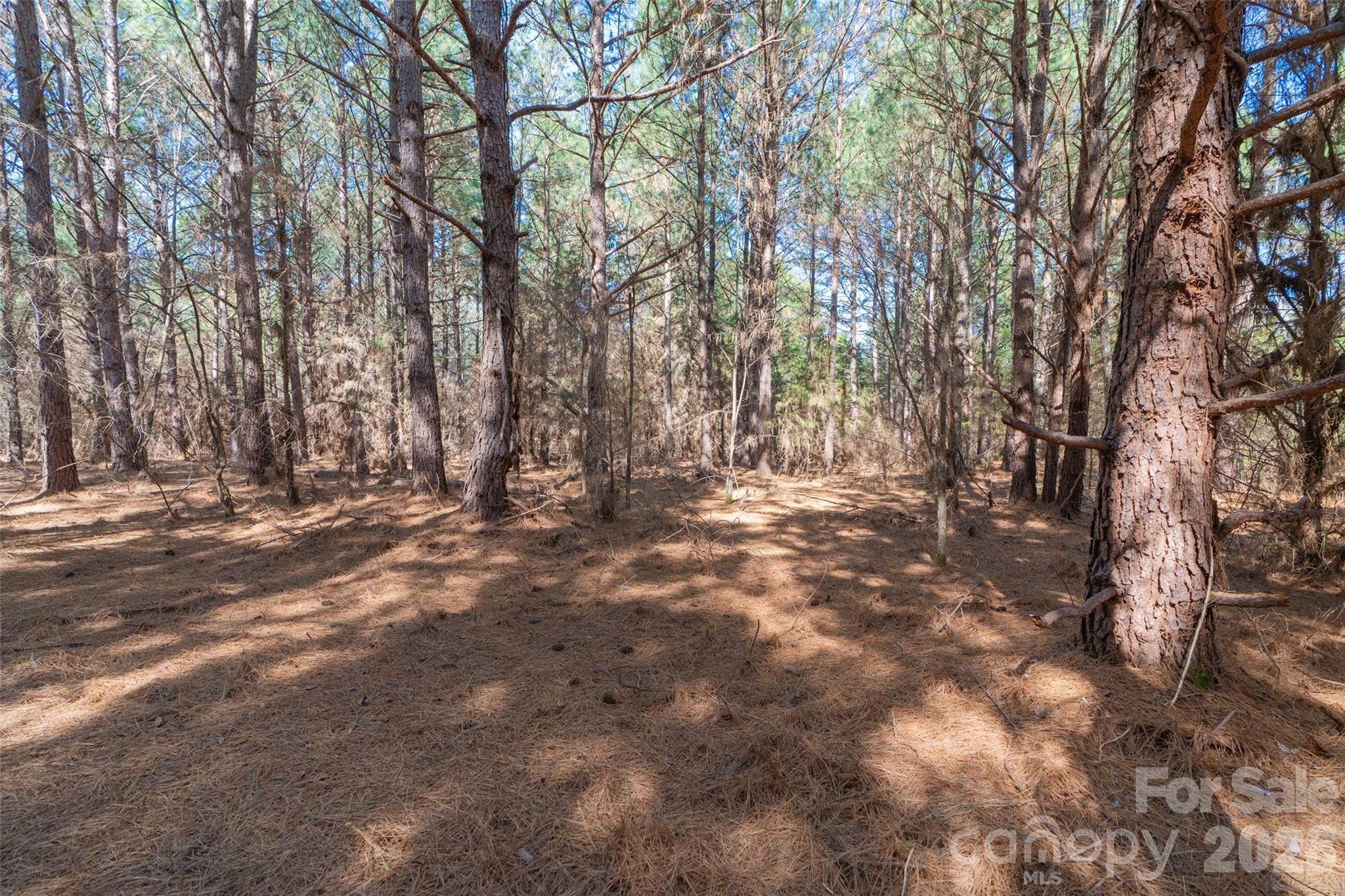 0 Cemetery Road, Unit 4 Fort Lawn, SC 29714 - Photo 15 of 23 a view of outdoor space with trees