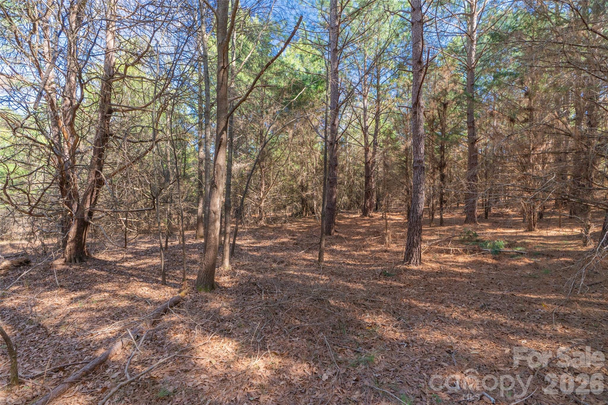 0 Cemetery Road, Unit 4 Fort Lawn, SC 29714 - Photo 20 of 23 a view of outdoor space with trees