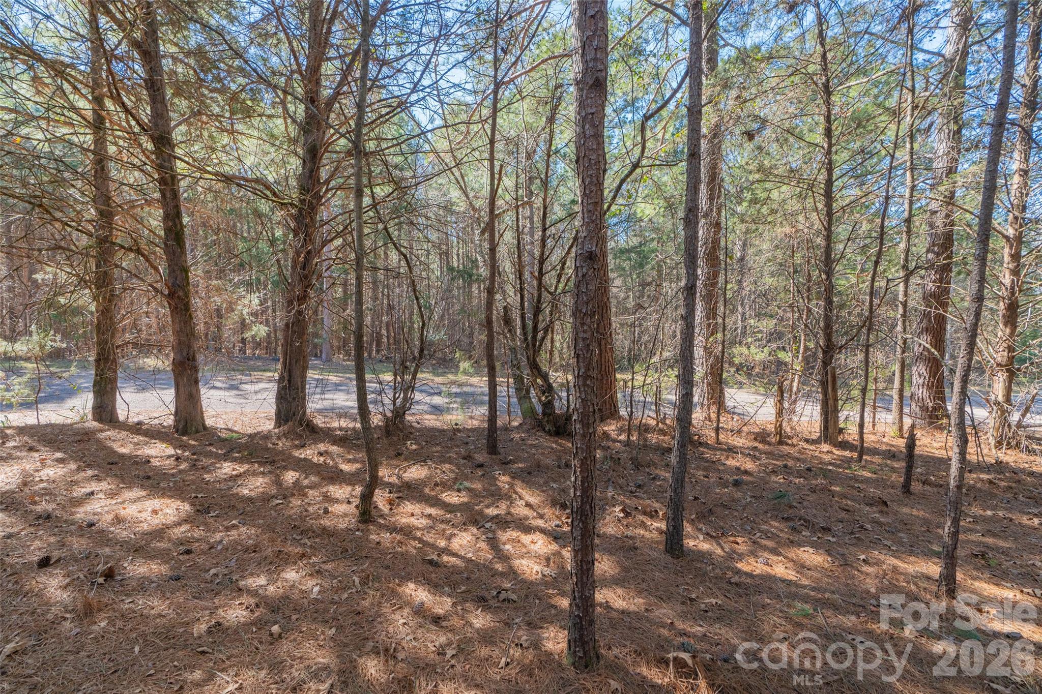 0 Cemetery Road, Unit 4 Fort Lawn, SC 29714 - Photo 21 of 23 a view of outdoor space with lots of trees