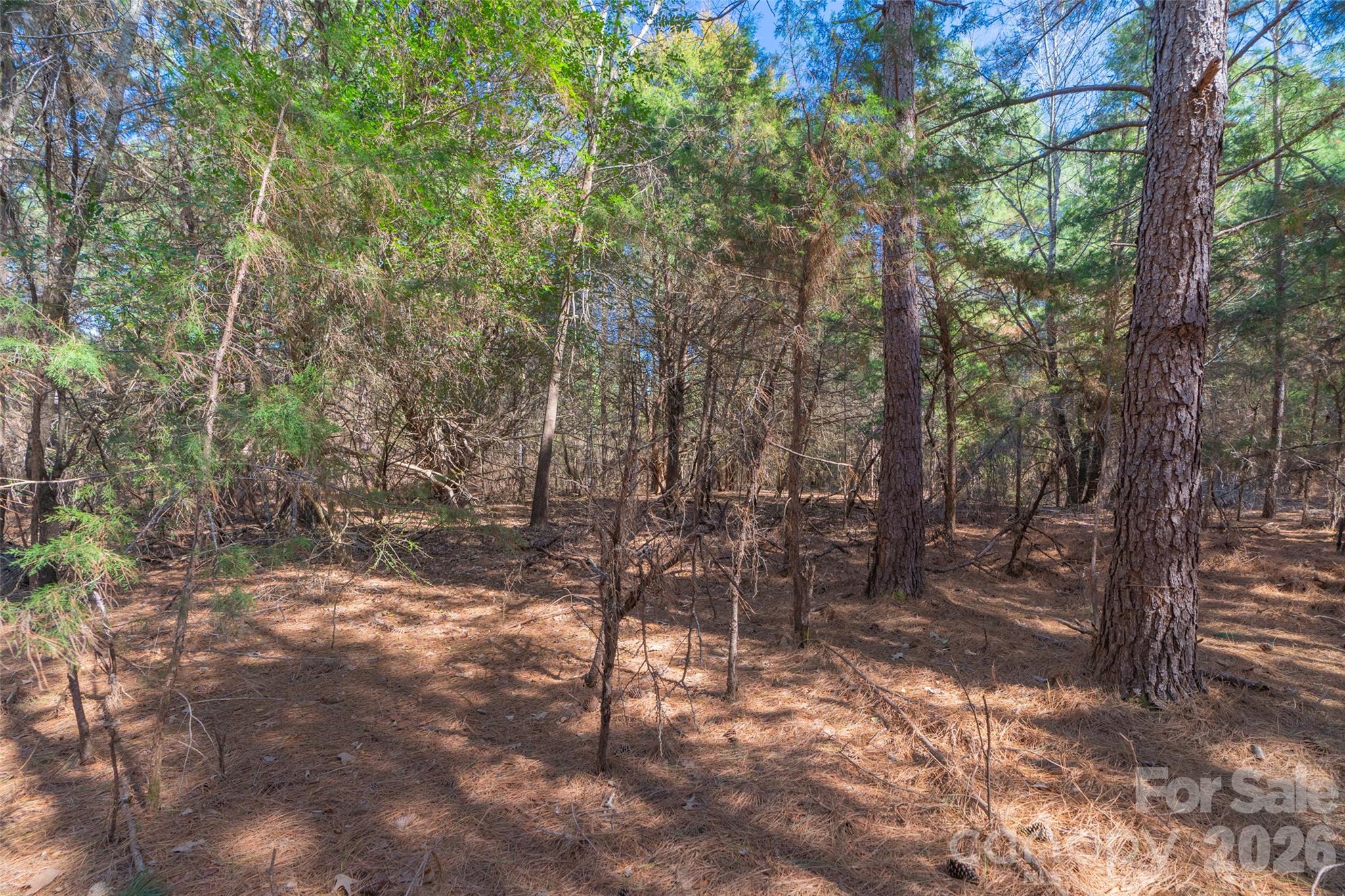 0 Cemetery Road, Unit 4 Fort Lawn, SC 29714 - Photo 22 of 23 a backyard of a house with lots of green space