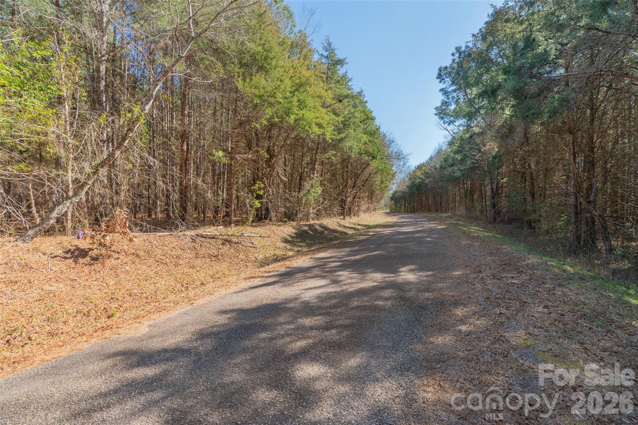 0 Cemetery Road, Unit 4 Fort Lawn, SC 29714 - Photo 4 of 23 a view of empty space with large trees