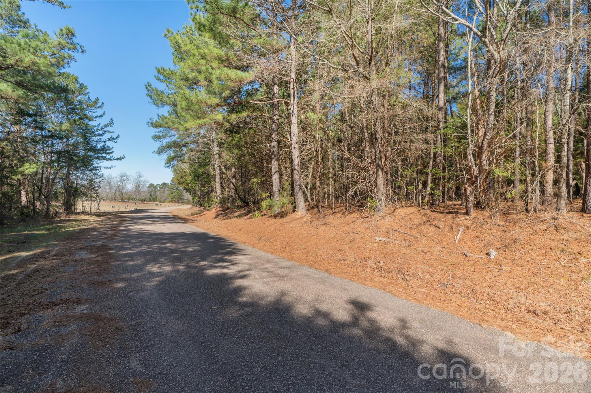 0 Cemetery Road, Unit 4 Fort Lawn, SC 29714 - Photo 5 of 23 a view of road covered with snow