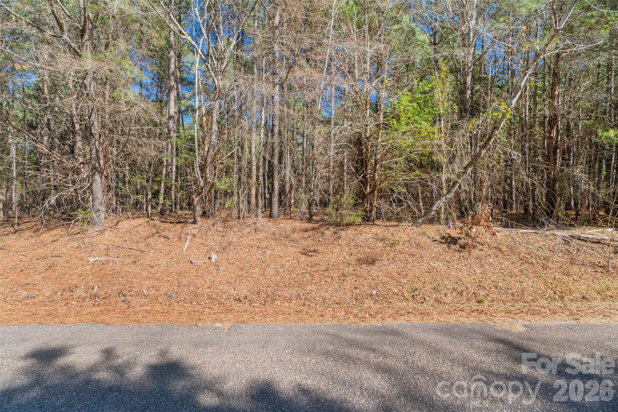 0 Cemetery Road, Unit 4 Fort Lawn, SC 29714 - Photo 6 of 23 a view of covered with snow