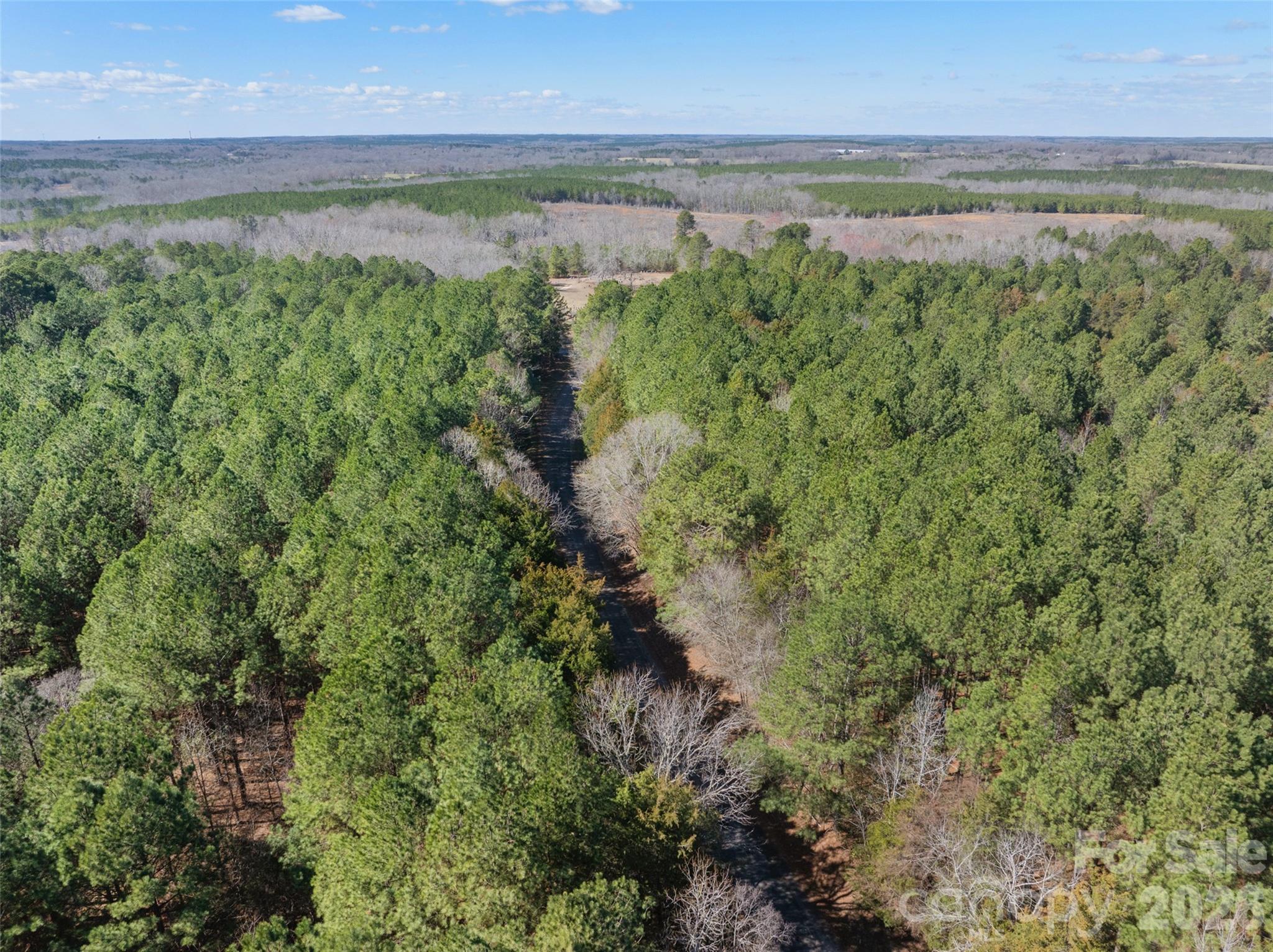 0 Cemetery Road, Unit 4 Fort Lawn, SC 29714 - Photo 8 of 23 a view of a lake with a yard