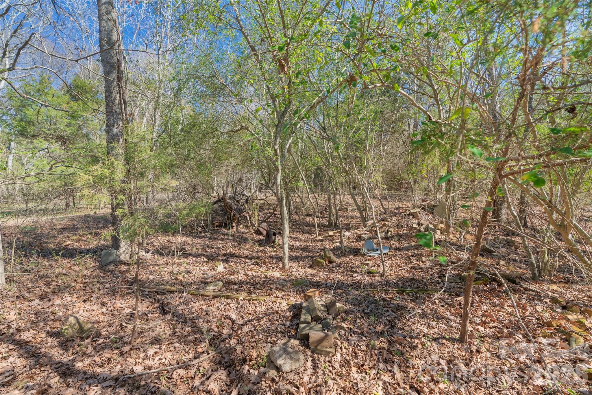 0 Cemetery Road, Unit 4 Fort Lawn, SC 29714 - Photo 10 of 23 a view of a forest with trees