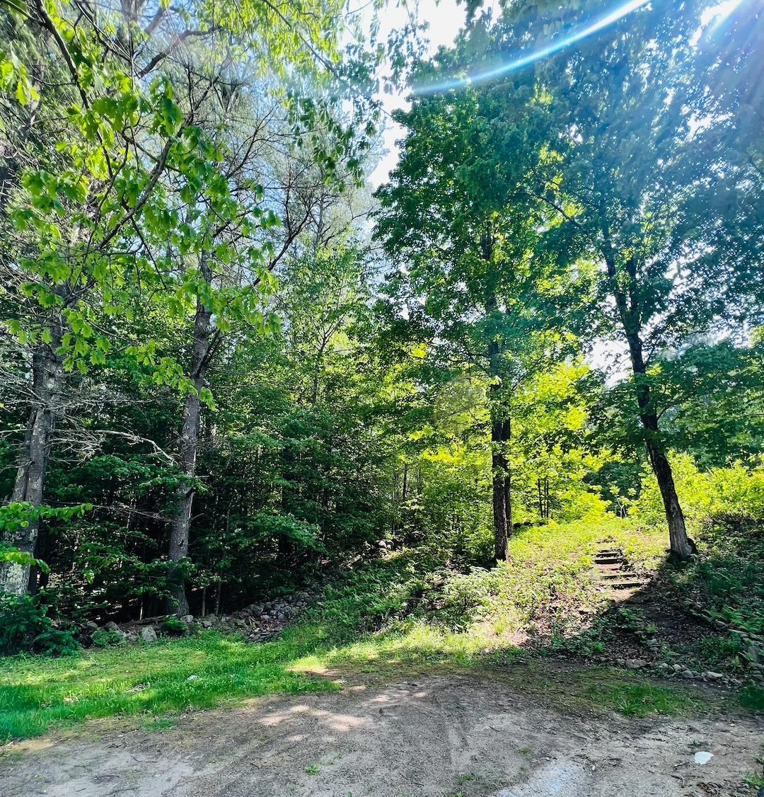 48 Farrell Loop Warner, NH 03278 - Photo 11 of 11