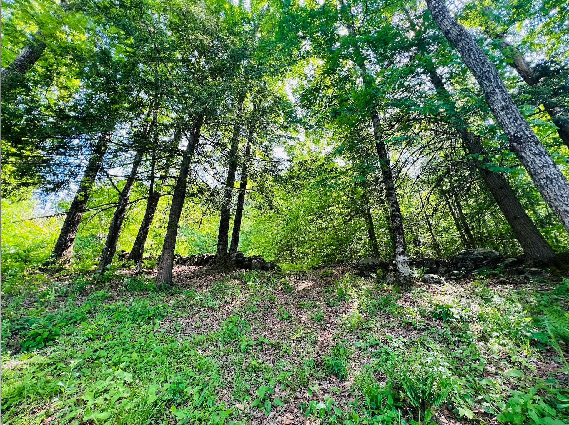 48 Farrell Loop Warner, NH 03278 - Photo 4 of 11