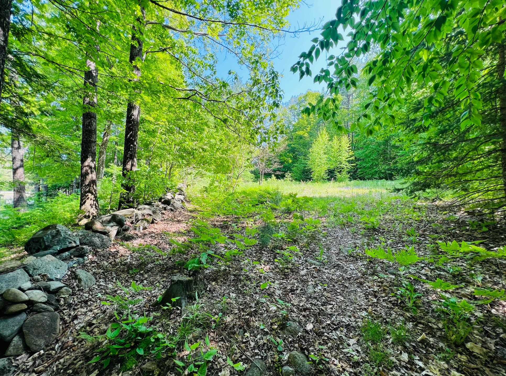 48 Farrell Loop Warner, NH 03278 - Photo 7 of 11