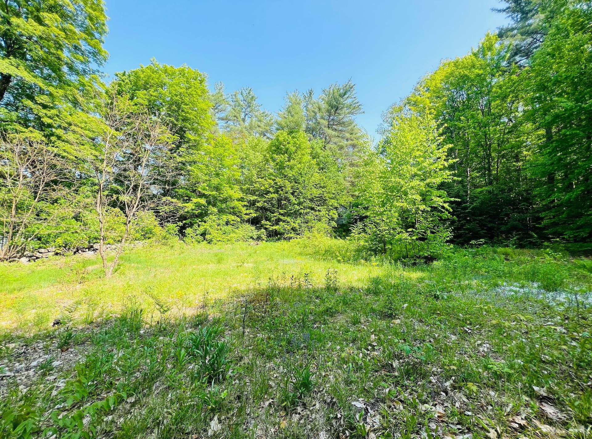 48 Farrell Loop Warner, NH 03278 - Photo 9 of 11