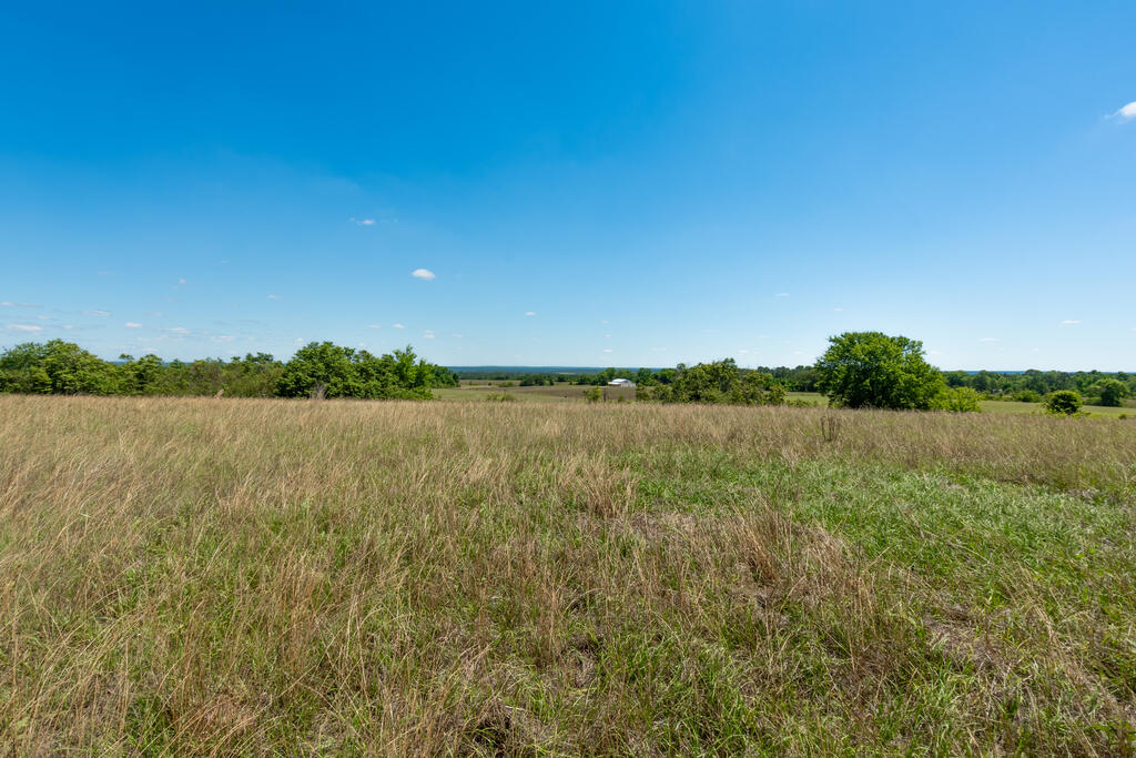 63 Hayes Road Mauk, GA 31058 - Photo 17 of 18 Gallery Image 17