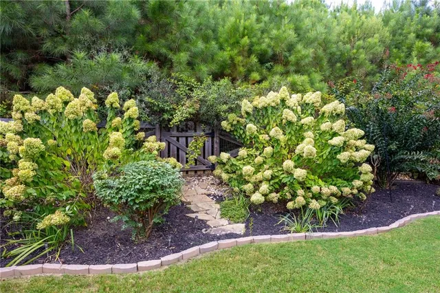 a view of a garden with plants