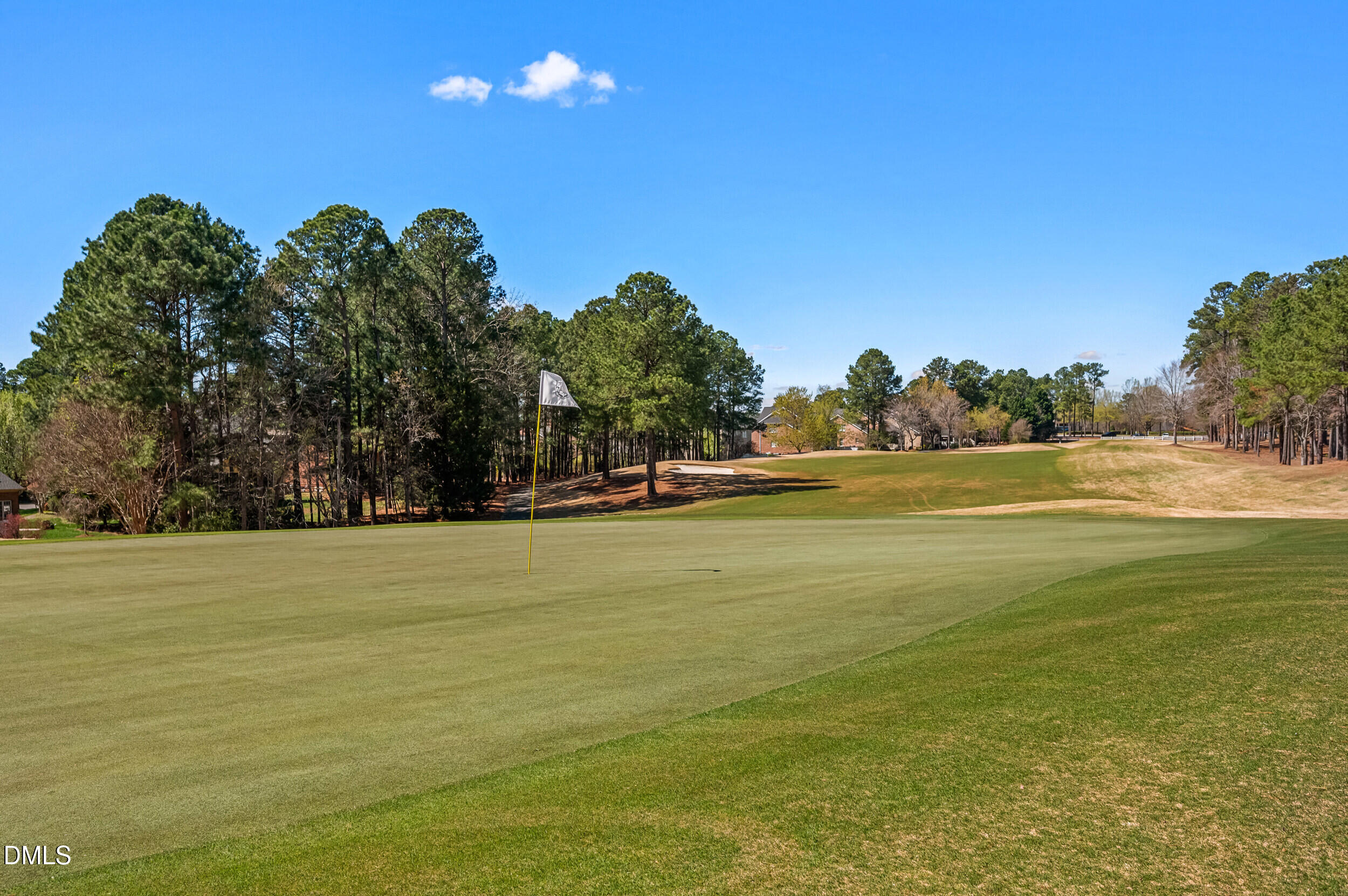 10511 Rosegate Court, Unit 5 Raleigh, NC 27617 - Photo 48 of 48 50_dsc_5925
