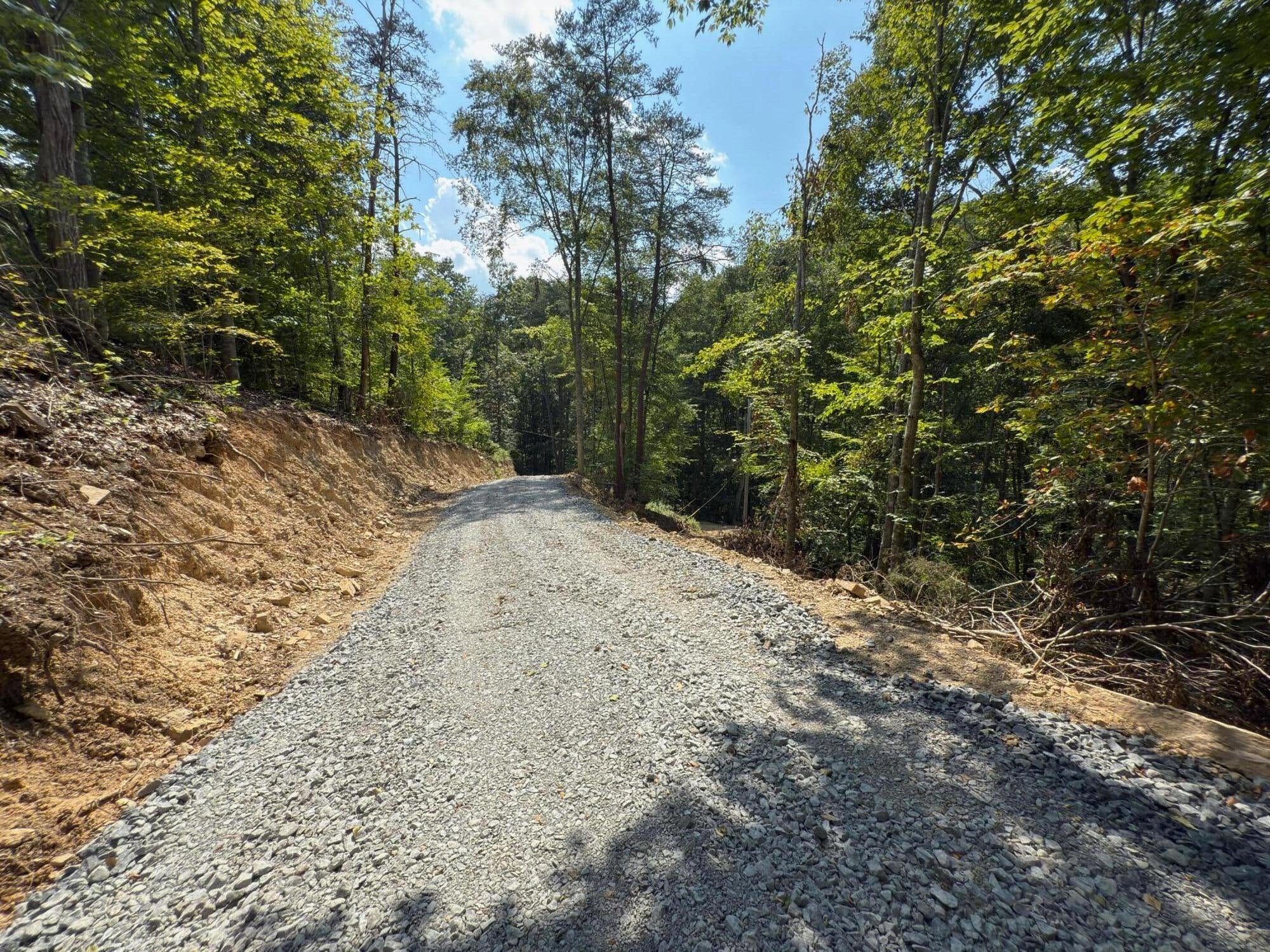 4329 Cooks Run Road Lindside, WV 24951 - Photo 62 of 71 Gallery Image 62