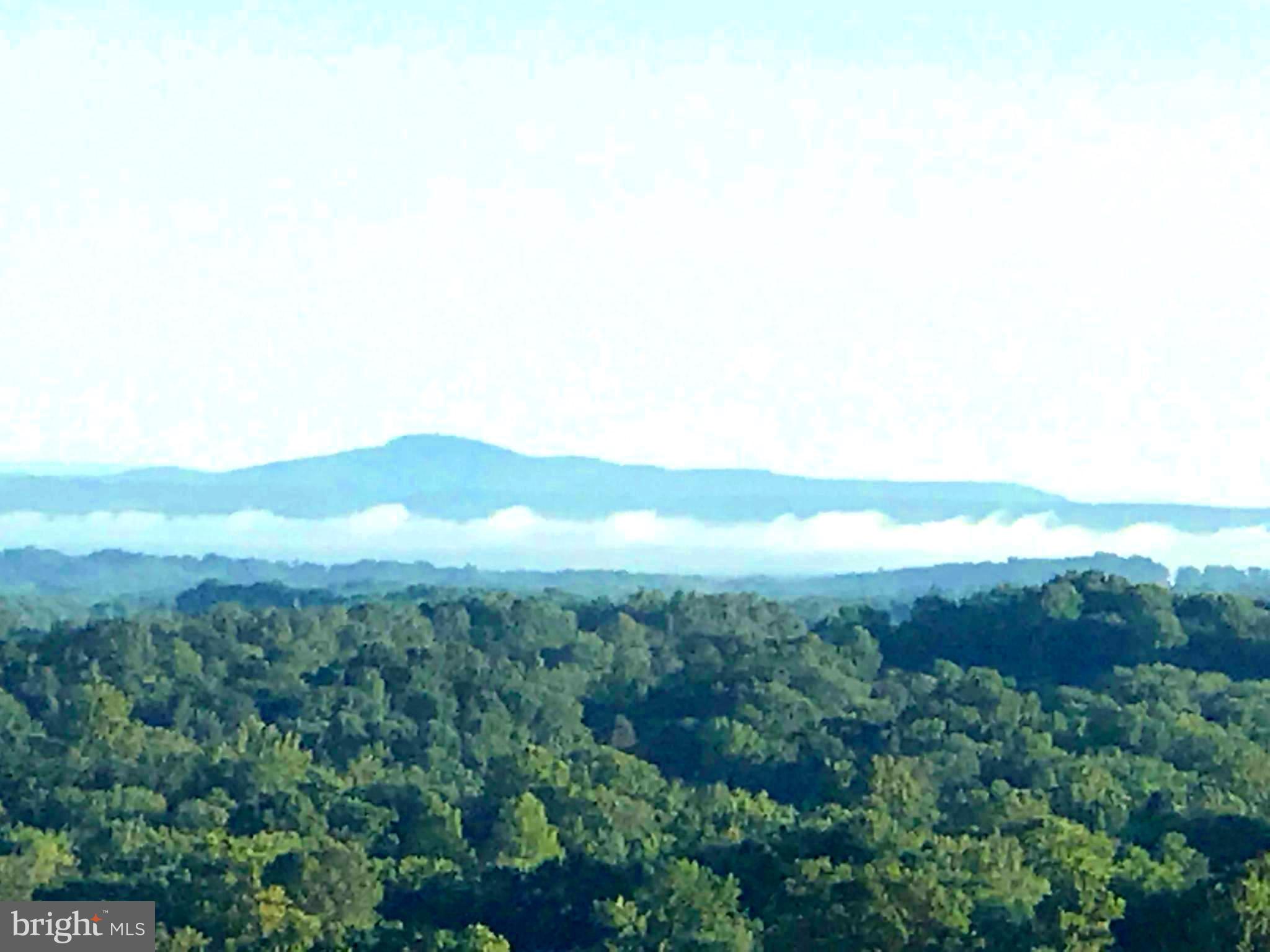 1830 Fountain Drive, Unit 1501 Reston, VA 20190 - Photo 27 of 62 Sugarloaf Mt w/Morning fog over the Potomac view