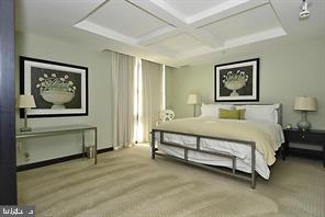 1830 Fountain Drive, Unit 1501 Reston, VA 20190 - Photo 46 of 62 Paramount Guest Suite