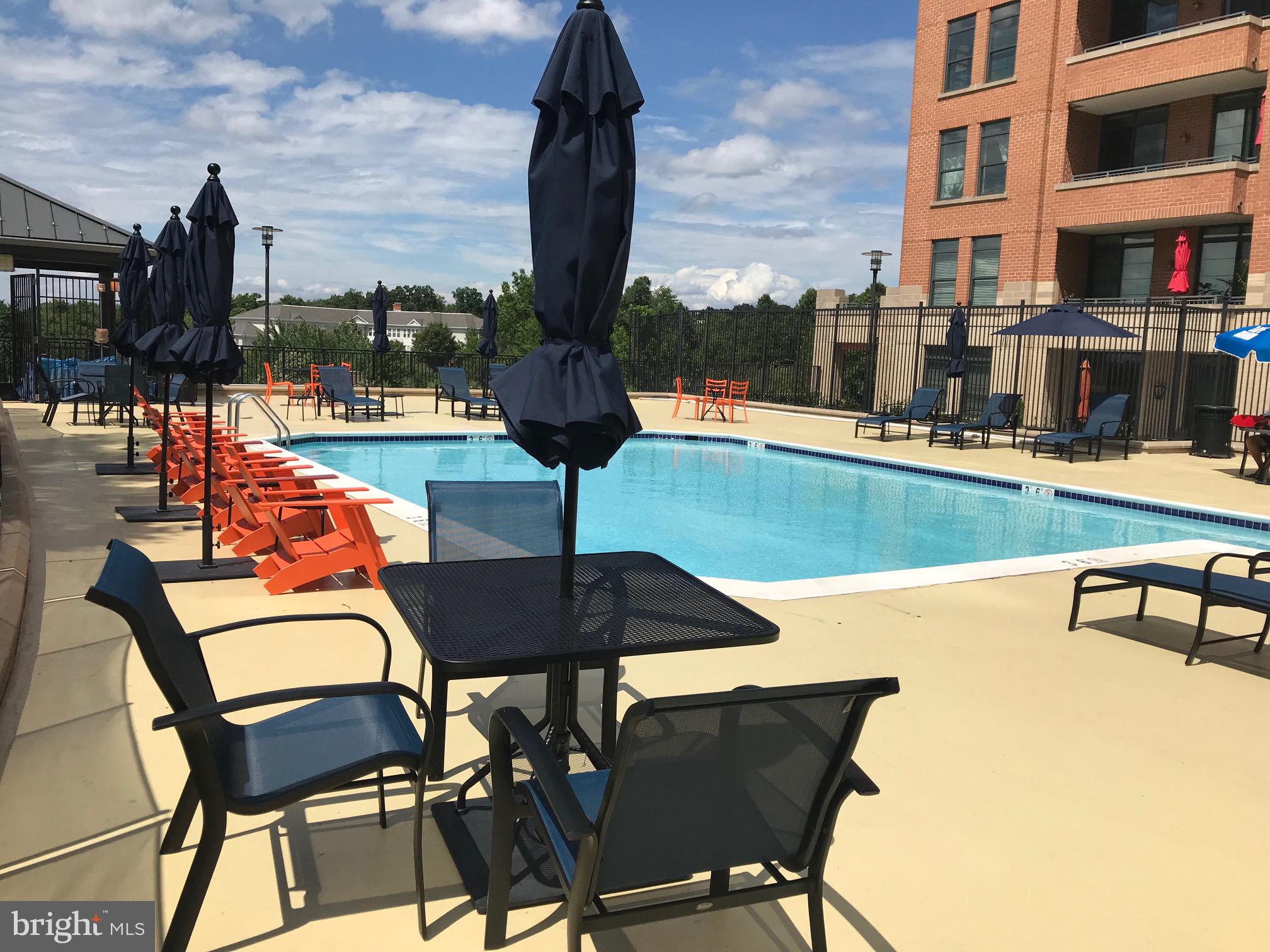 1830 Fountain Drive, Unit 1501 Reston, VA 20190 - Photo 50 of 62 Beautiful Swimming Pool