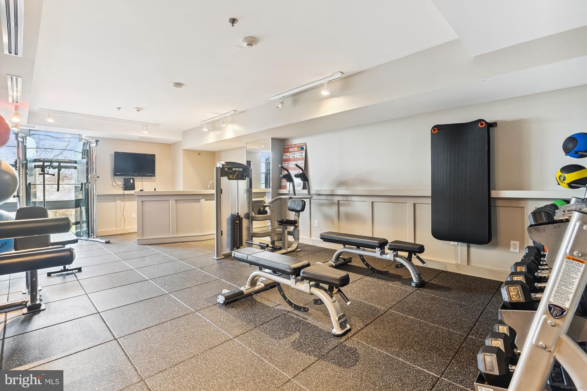 1830 Fountain Drive, Unit 1501 Reston, VA 20190 - Photo 52 of 62 Second Exercise Room for Strength Training