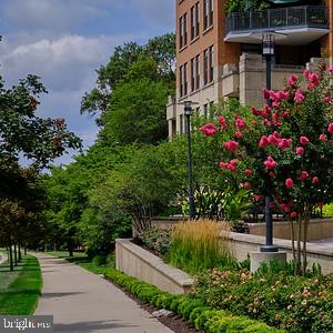 1830 Fountain Drive, Unit 1501 Reston, VA 20190 - Photo 54 of 62 Sidewalk by Paramount Condo