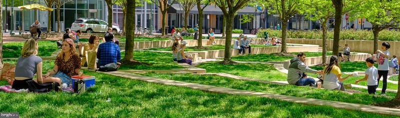 1830 Fountain Drive, Unit 1501 Reston, VA 20190 - Photo 57 of 62 Relaxing, Picnicing &Children Playing in RTC Park