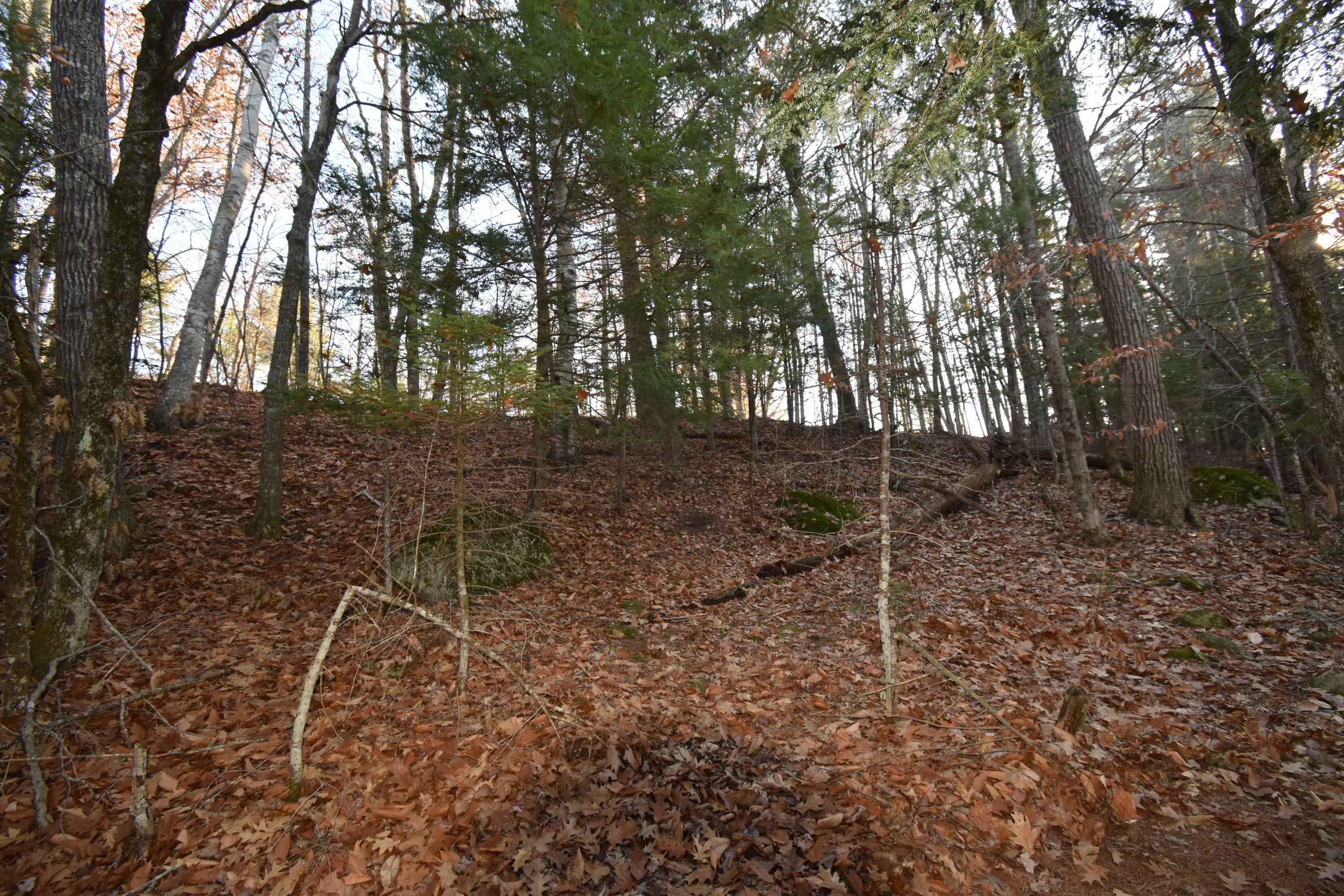 0 Lunts Hill Road Litchfield, ME 04350 - Photo 56 of 80 DSC_0894