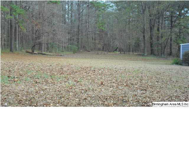 211 Cove Road Wilsonville, AL 35186 - Photo 13 of 13