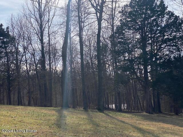 9143 Loretto Road Loretto, KY 40037 - Photo 41 of 46 18