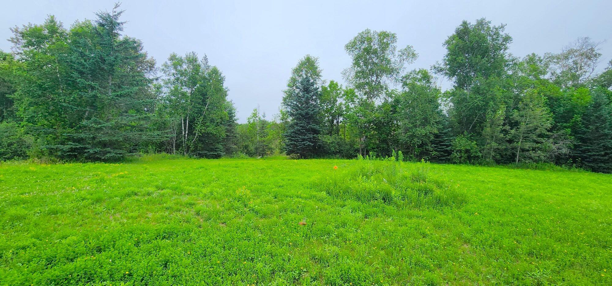 405 New Dunn Town Road Washburn, ME 04786 - Photo 13 of 51 20230716_100206