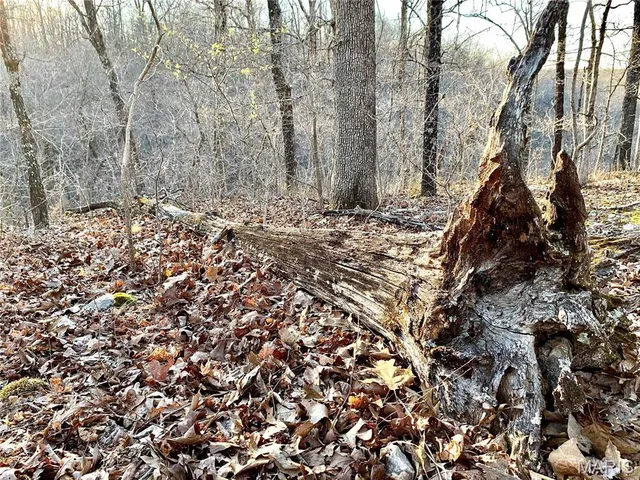 $245,000 | 0 Nn Highway, Eldridge, MO 65463