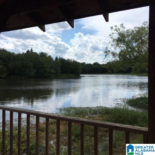 1668 Klein Road Harpersville, AL 35078 - Photo 31 of 45
