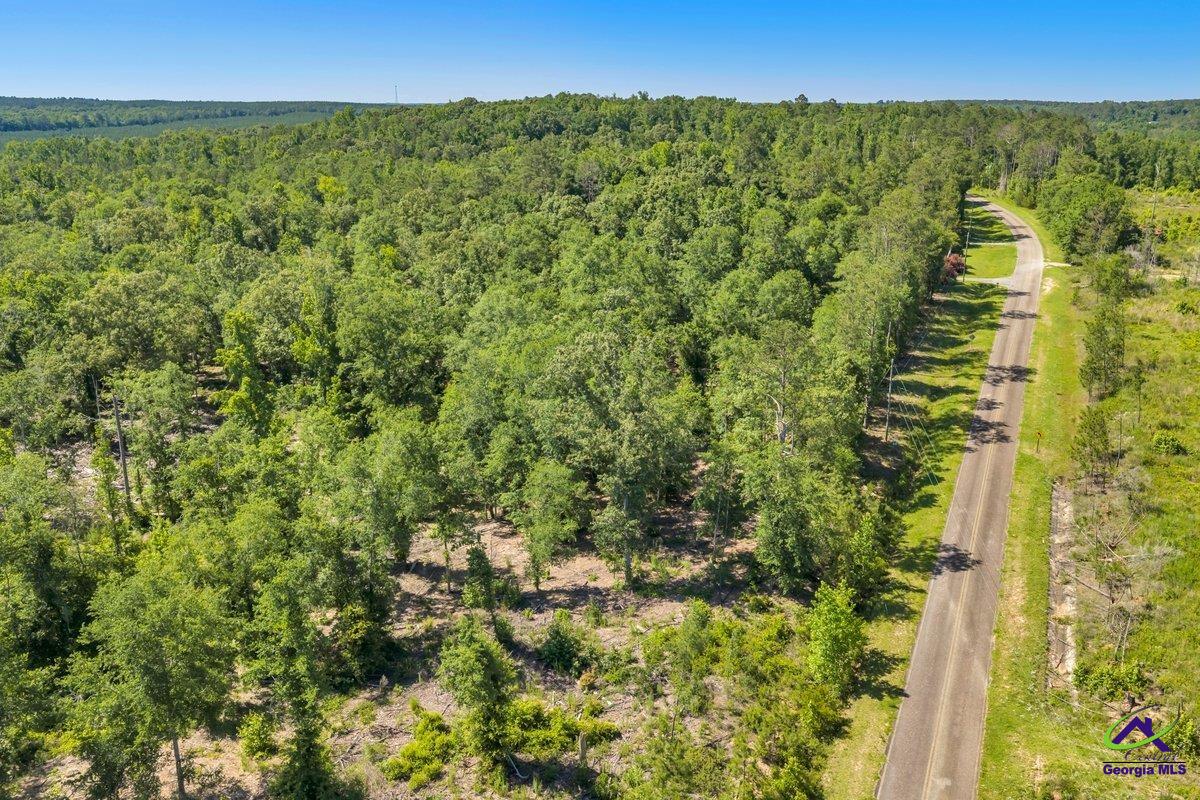 4 Everett Wood Road Oglethorpe, GA 31068 - Photo 19 of 23